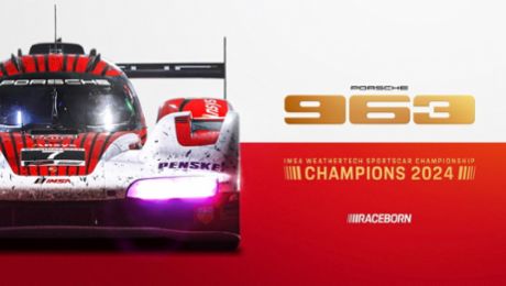 Porsche celebrates nine championship titles at the finale